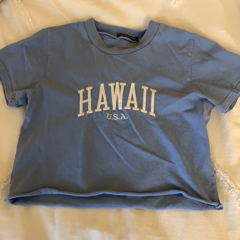 Brandy Melville Hawaii Crop top